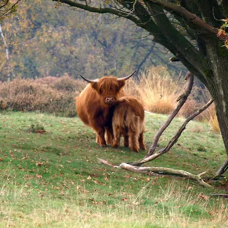 호텔 Landgoed, Jachtslot De Mookerheide